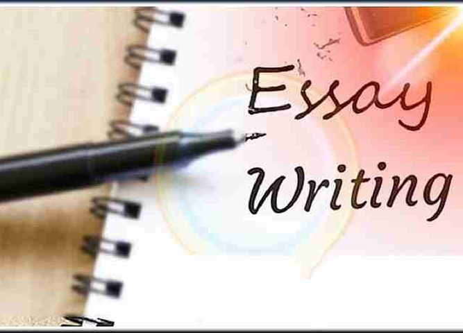 VII Региональный конкурс эссе по английскому языку