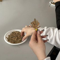 Добрая мастерская Первых